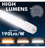 Led Tube Glass 10w 60cm T8 160 Lmw Max Lumens 1600lm 2