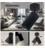 Copy of adjustable ceiling spotlight hoorn black for one gu10 lamp (1)