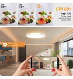 Led ceiling light 18w rgbcct control remoto chip lumileds (3)