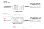 SPIW5 006.webp
