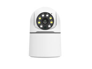 HS 501 (5)